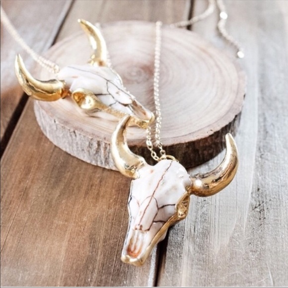 Twilight Gypsy Collective Jewelry - ✨18k Cattle Necklace ✨